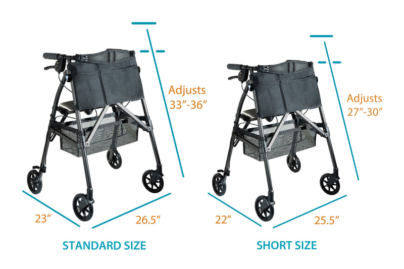 EZ Fold-N-Go Rollator