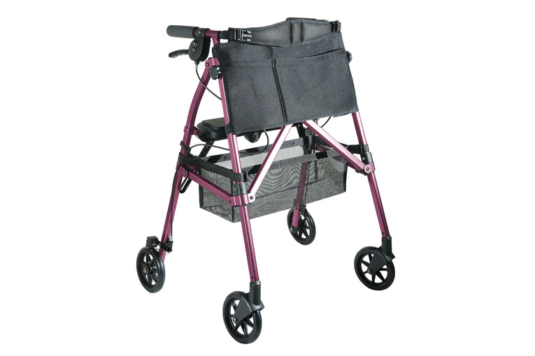 EZ Fold-N-Go Rollator